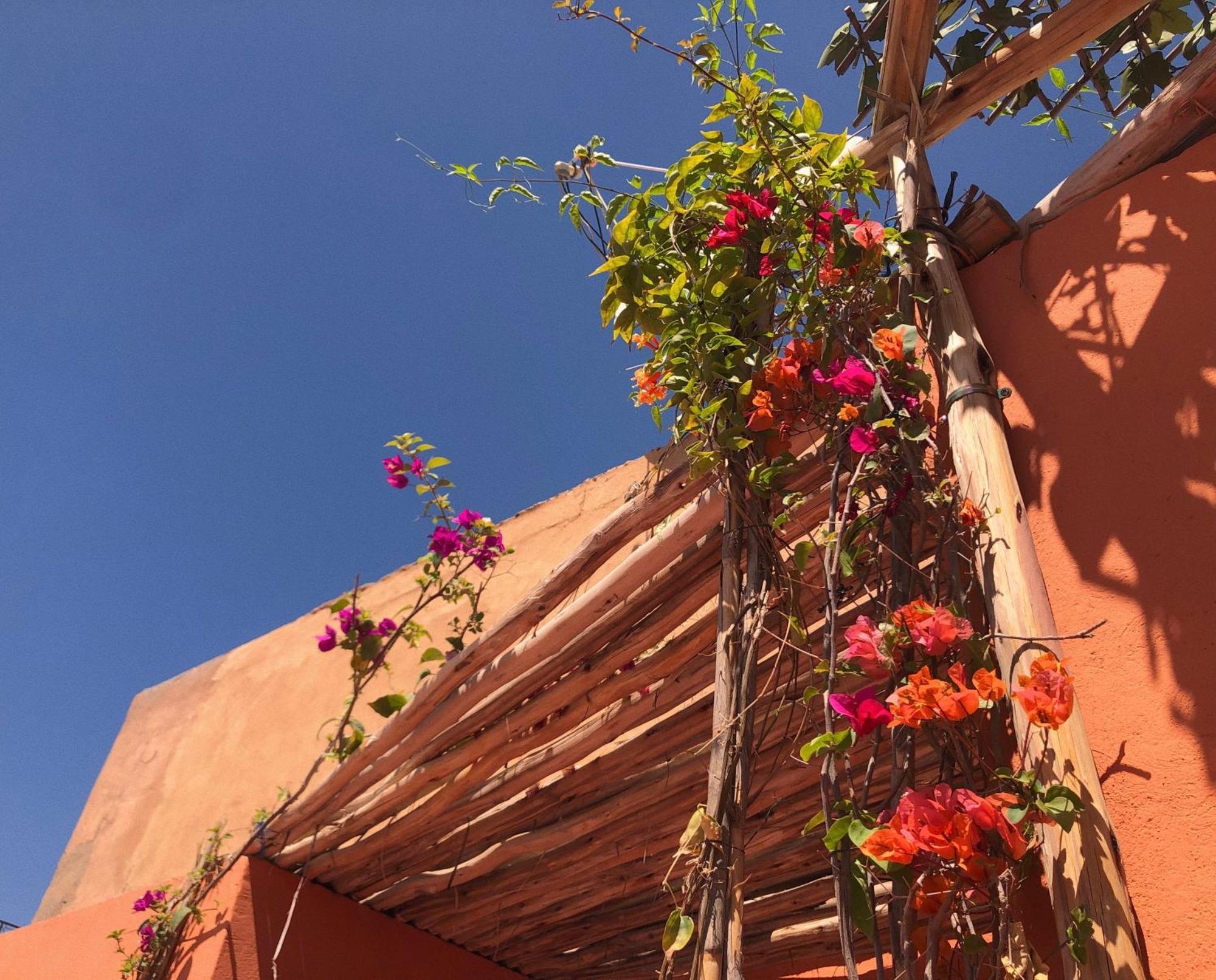 مراكش Riad Imndi المظهر الخارجي الصورة