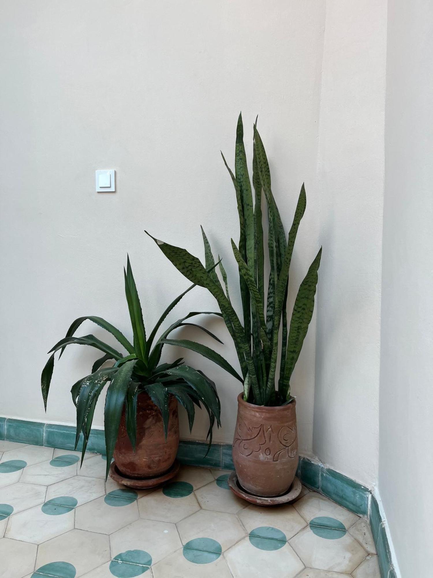 مراكش Riad Imndi المظهر الخارجي الصورة